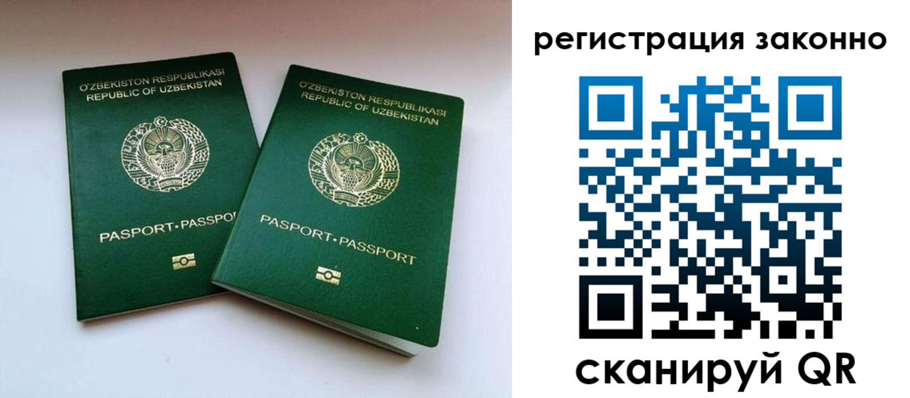 прописка гарантия в Сасово